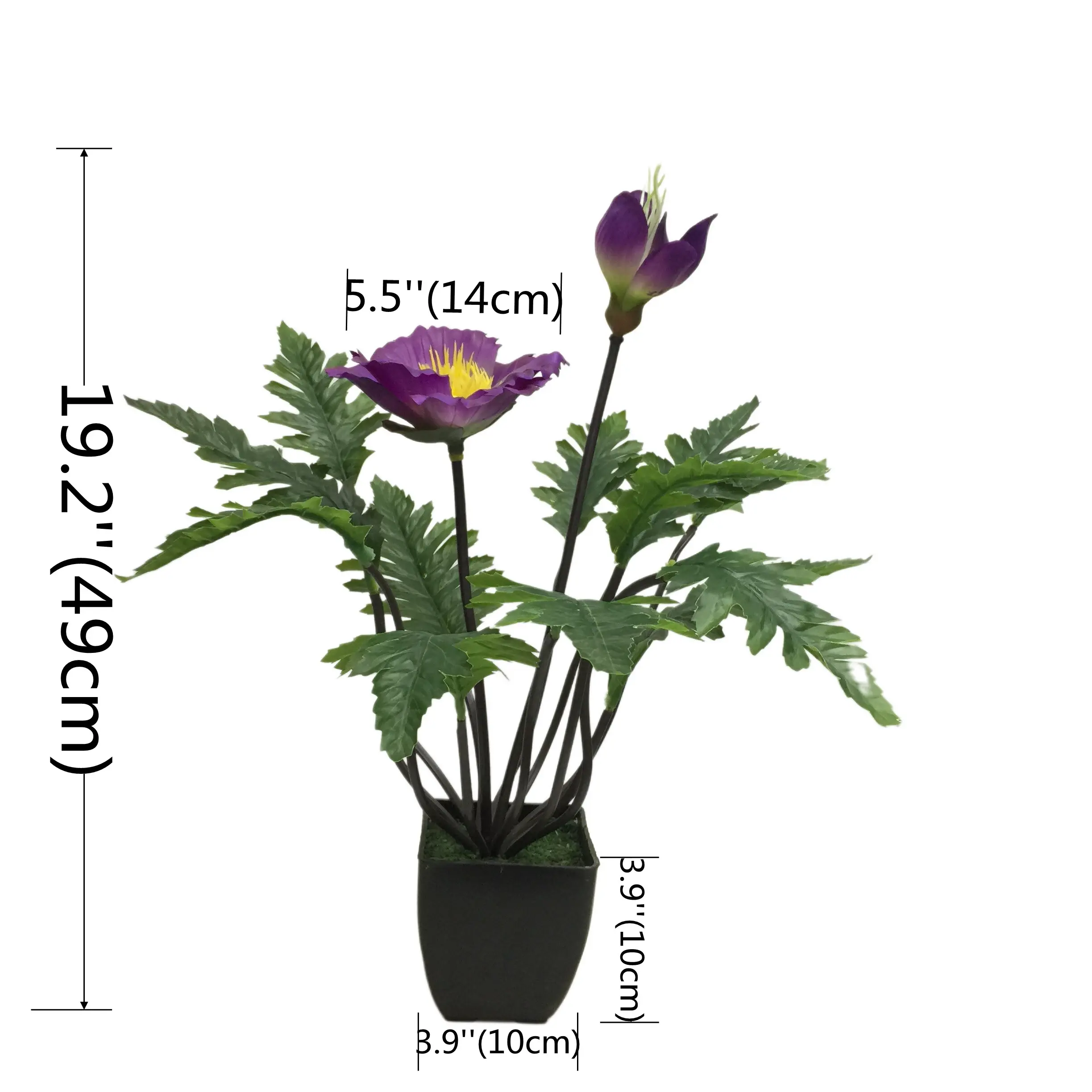 Natural Simulation Artificial Poppy