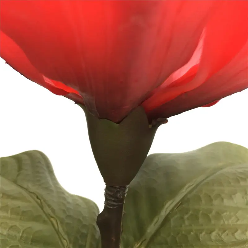 Direct Simulated Magnolia 34 (2)eym