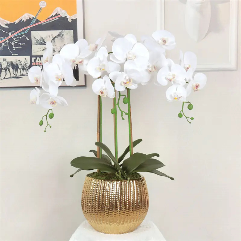 Factory Supplier of High-Quality Phalaenopsis Artificial Flower129df