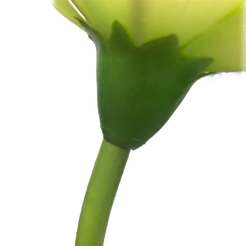 Lotus Flower Supplier for OEM2032aa