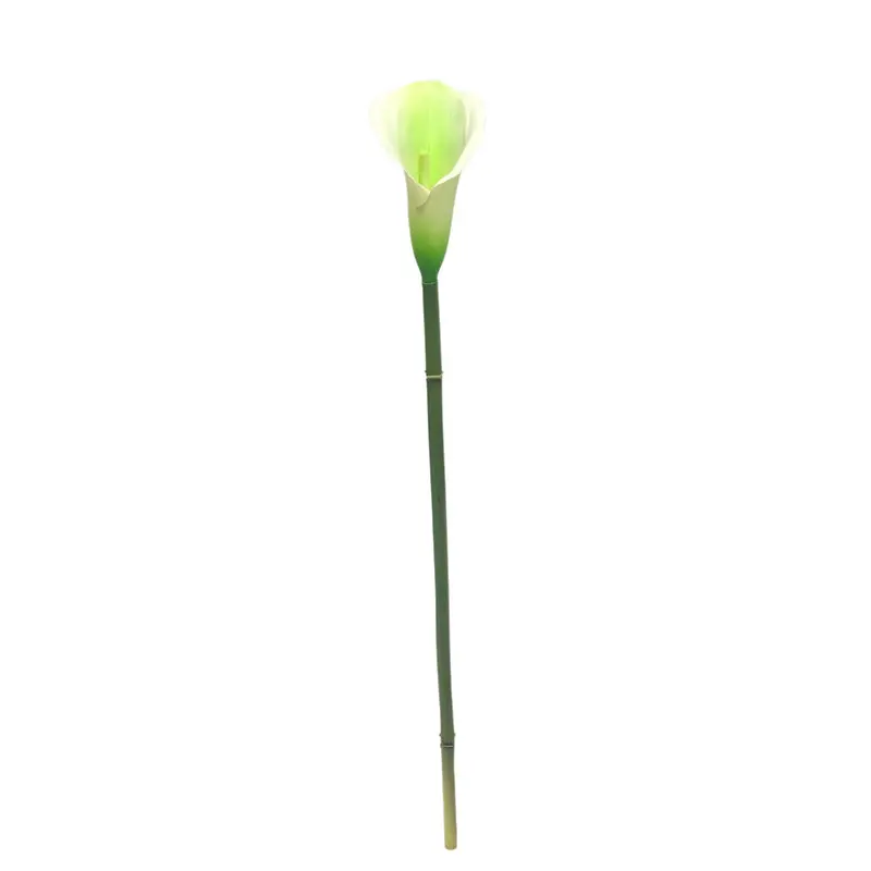 Manufacturer of Waterproof Calla Lily with Natural Simulation