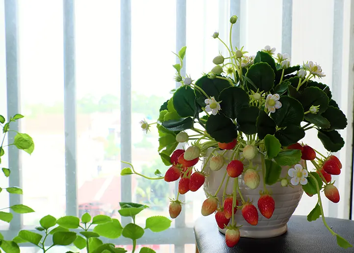 Artificial Plants: A Growing Trend in Home Decor