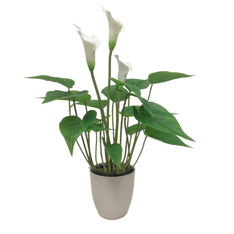 Manufacturer of Waterproof Calla Lily with Natural Simulation