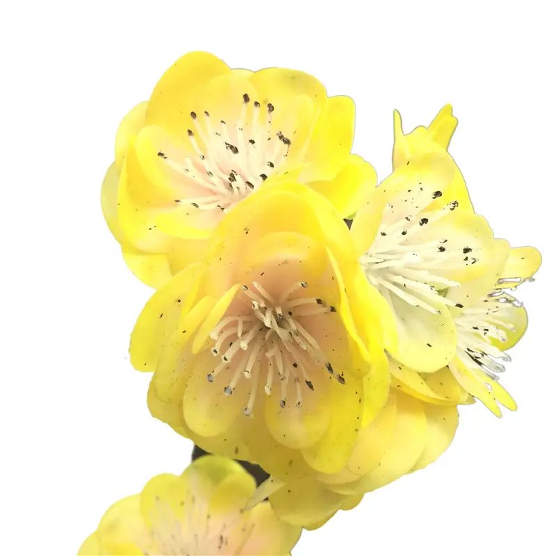 High-Simulation Peony Flower0105j