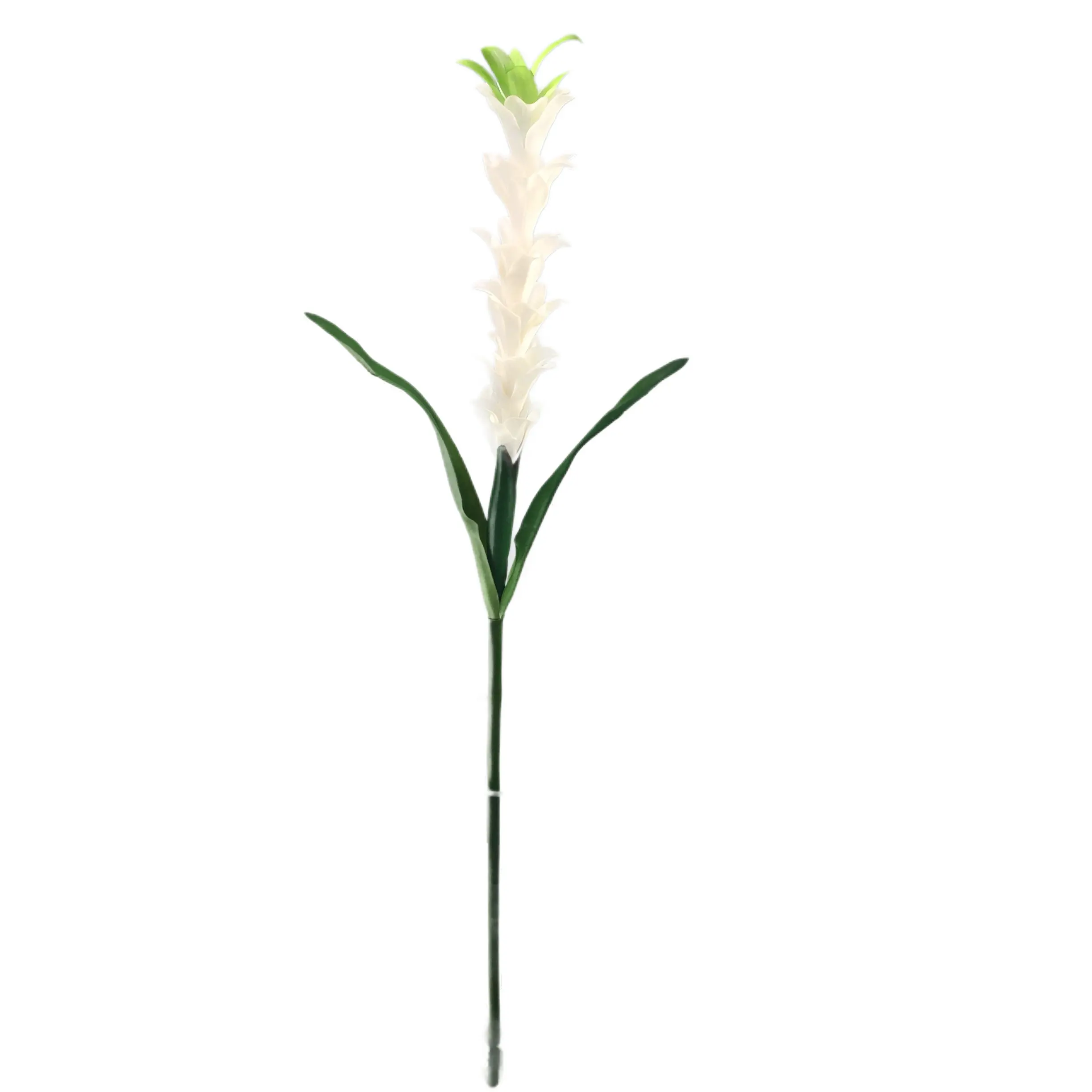 Expert Manufacturers of Natural Simulation Torchflower