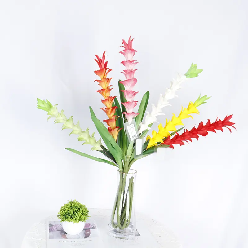 Expert Manufacturers of Natural Simulation Torchflower