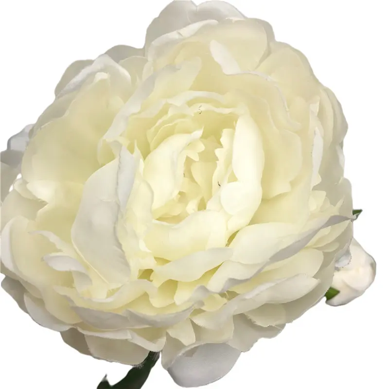 High-Simulation Peony Flower1015n3