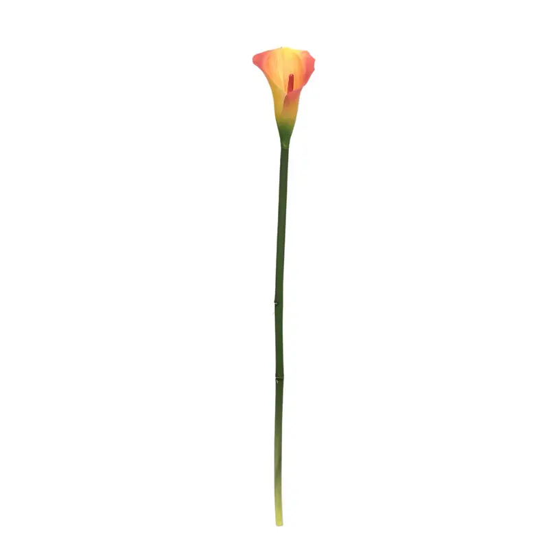 Manufacturer of Waterproof Calla Lily with Natural Simulation