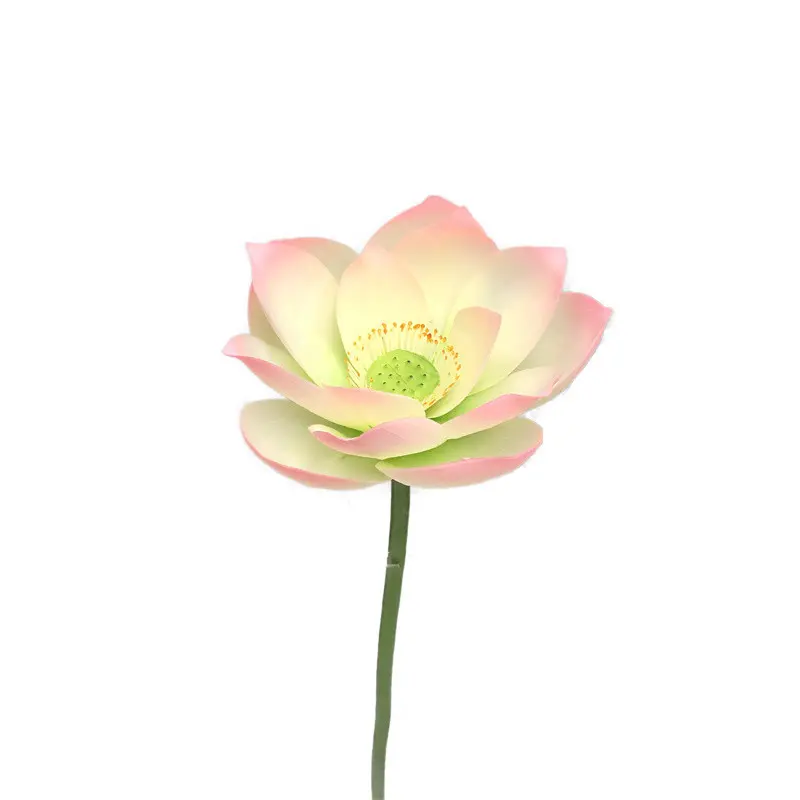 Lotus Flower Supplier for OEM207a7i