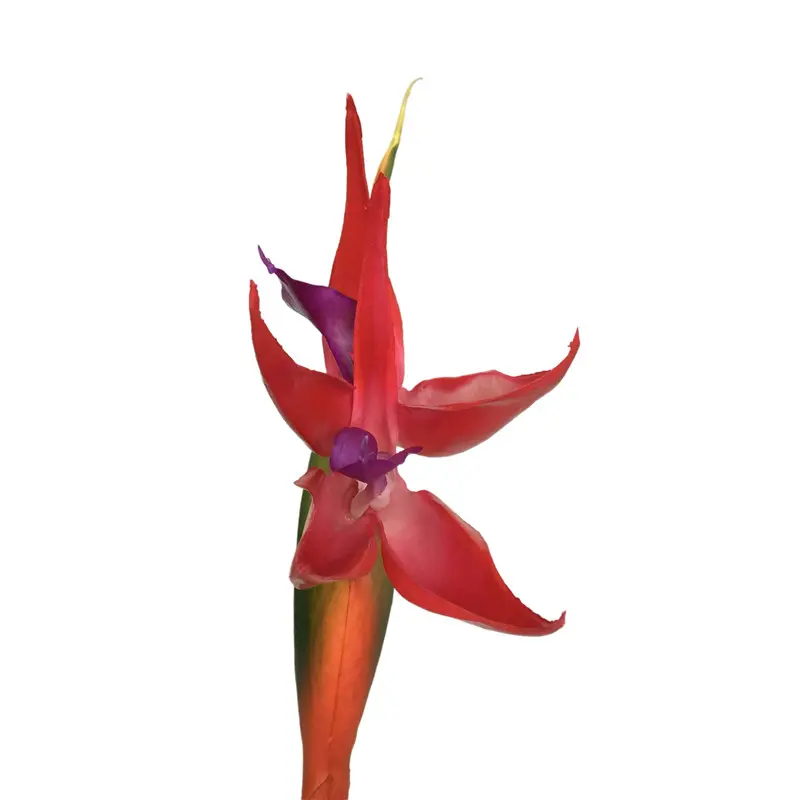 High Simulation PVC Bird of Paradise Bonsai156u4