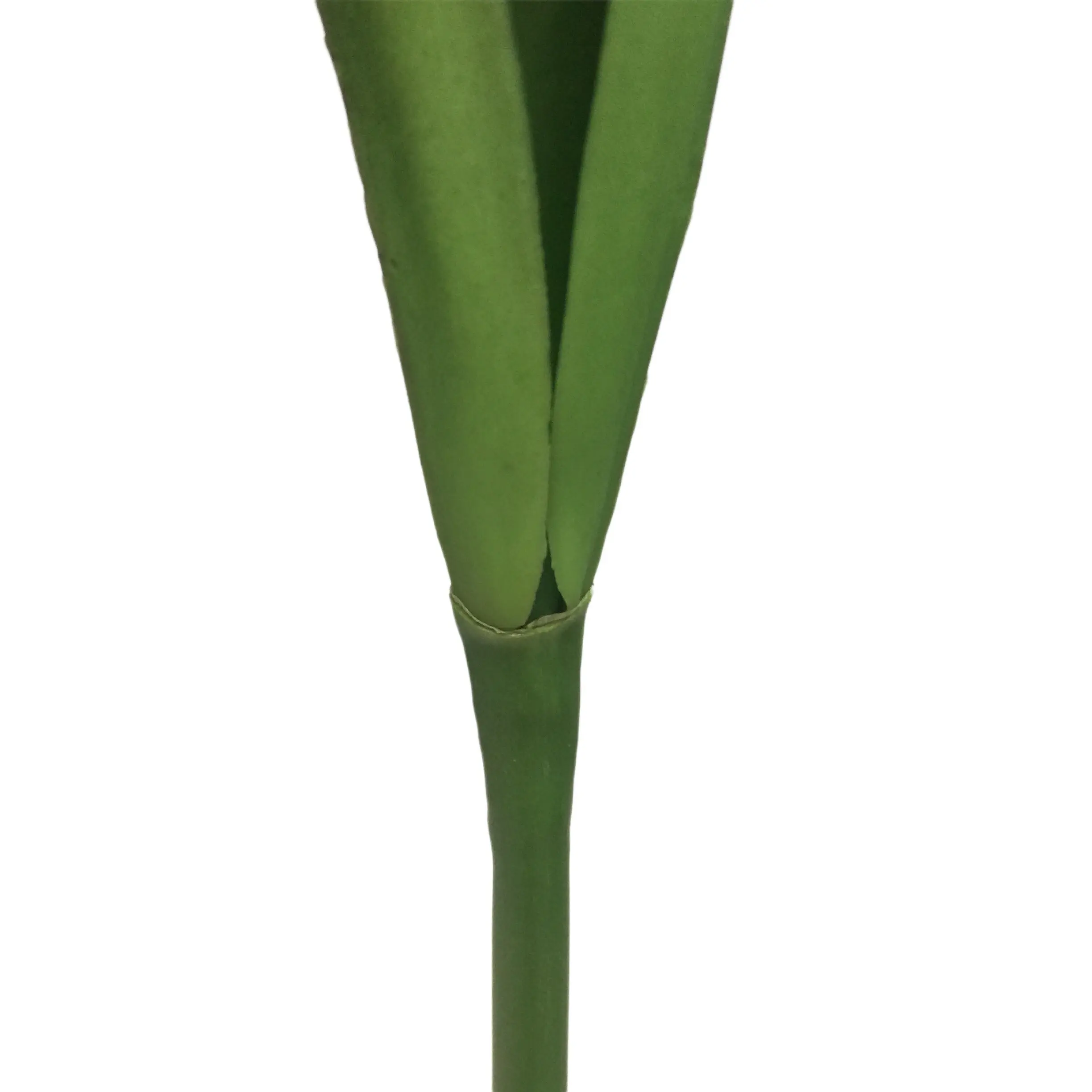 Expert Manufacturers of Natural Simulation Torchflower