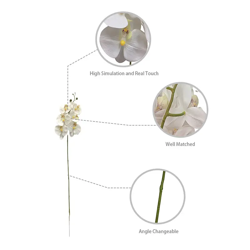 Phalaenopsis artificial flowertpx