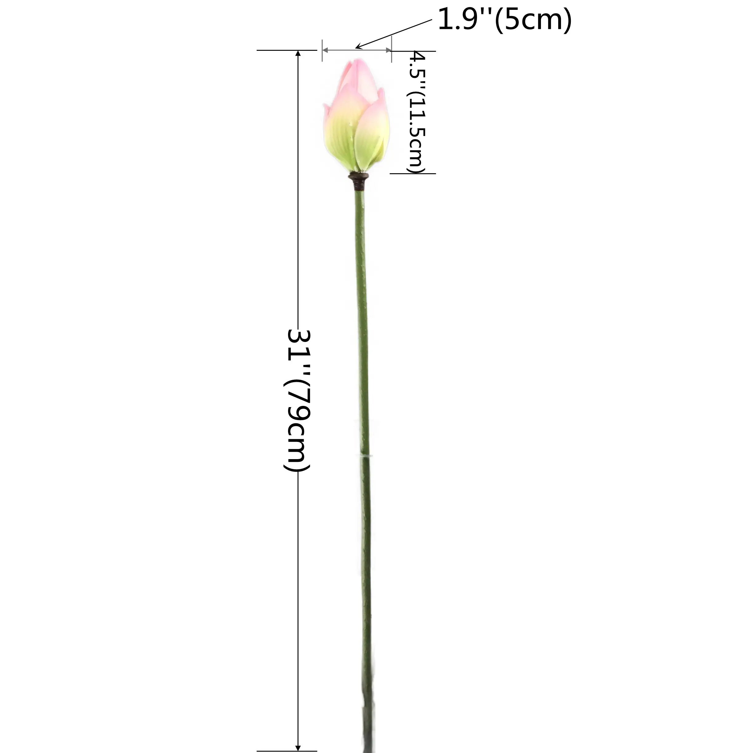 Natural Simulation Lotus Bud Manufacturer