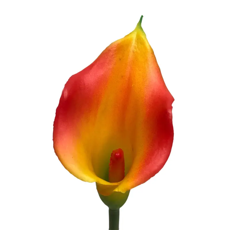 Manufacturers of Non-Fading Calla Lily Bonsai with Natural Simulation06y9o