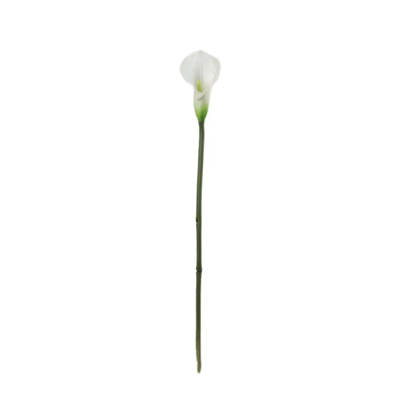 Manufacturer of Waterproof Calla Lily with Natural Simulation