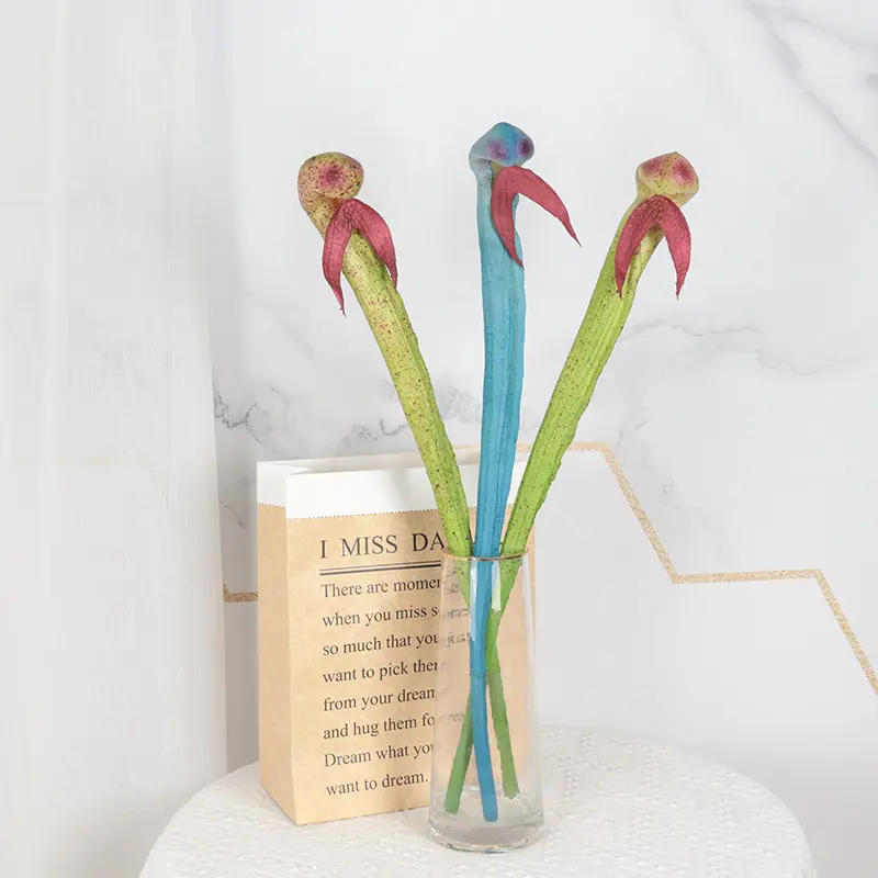 Snakehead Orchids28vr