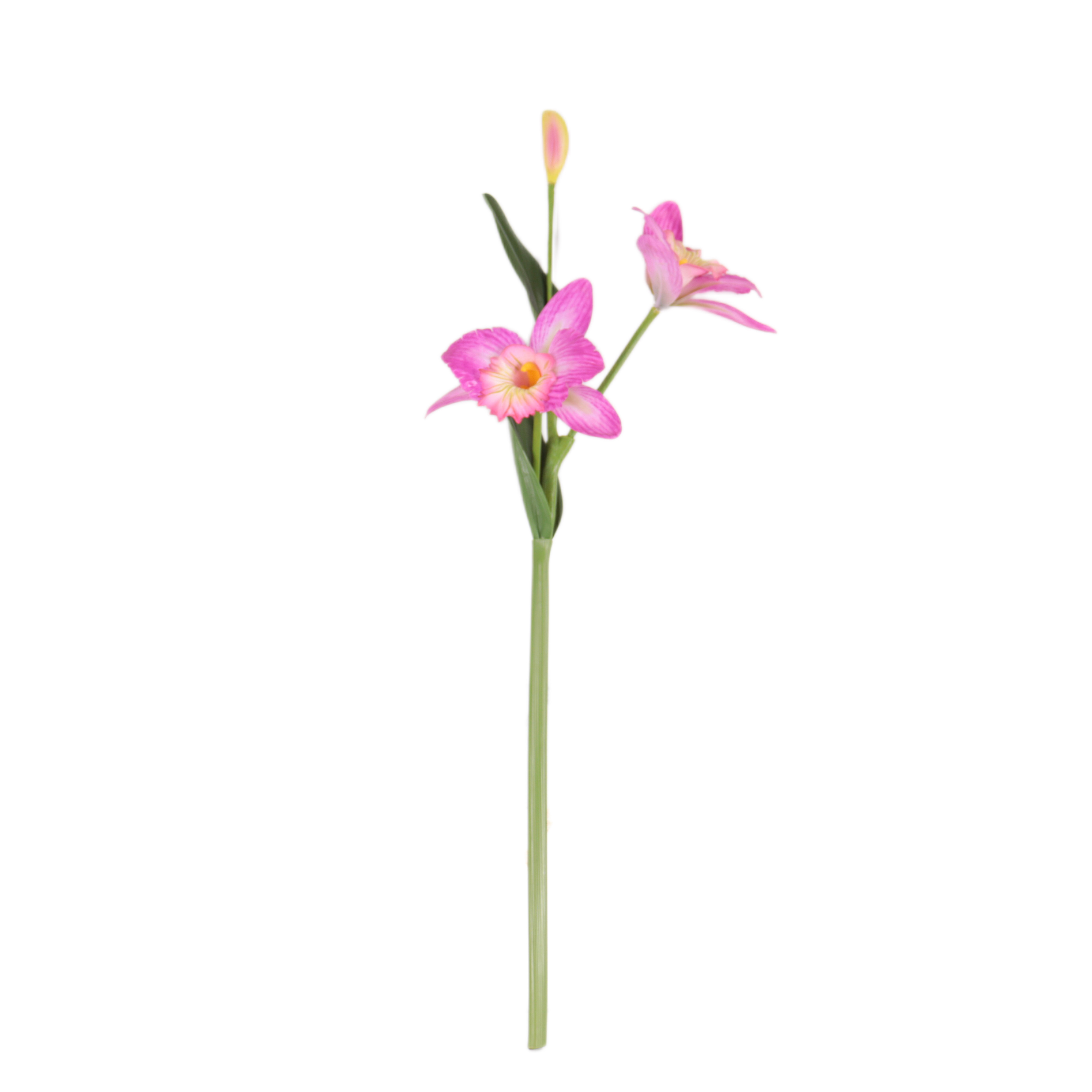 Natural Simulation Carter Orchid Manufacturer