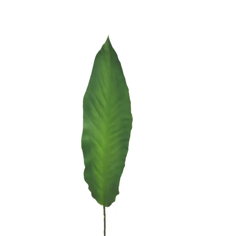 PVC Bird of Paradise Leaf 2345 (1)b1i