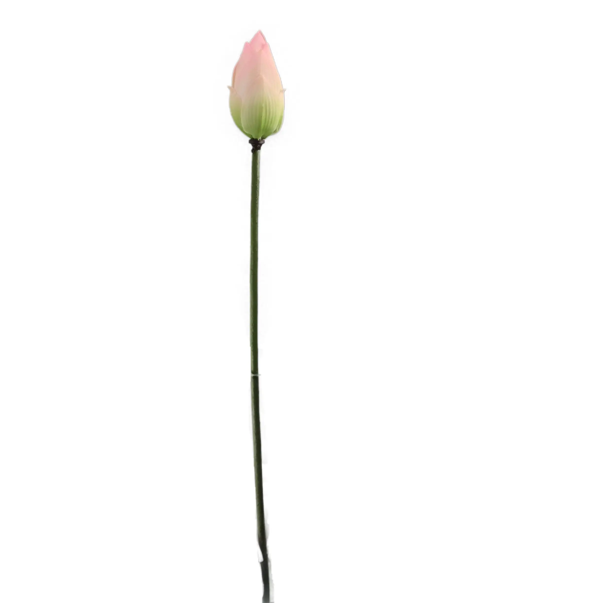 Natural Simulation Lotus Bud Manufacturer