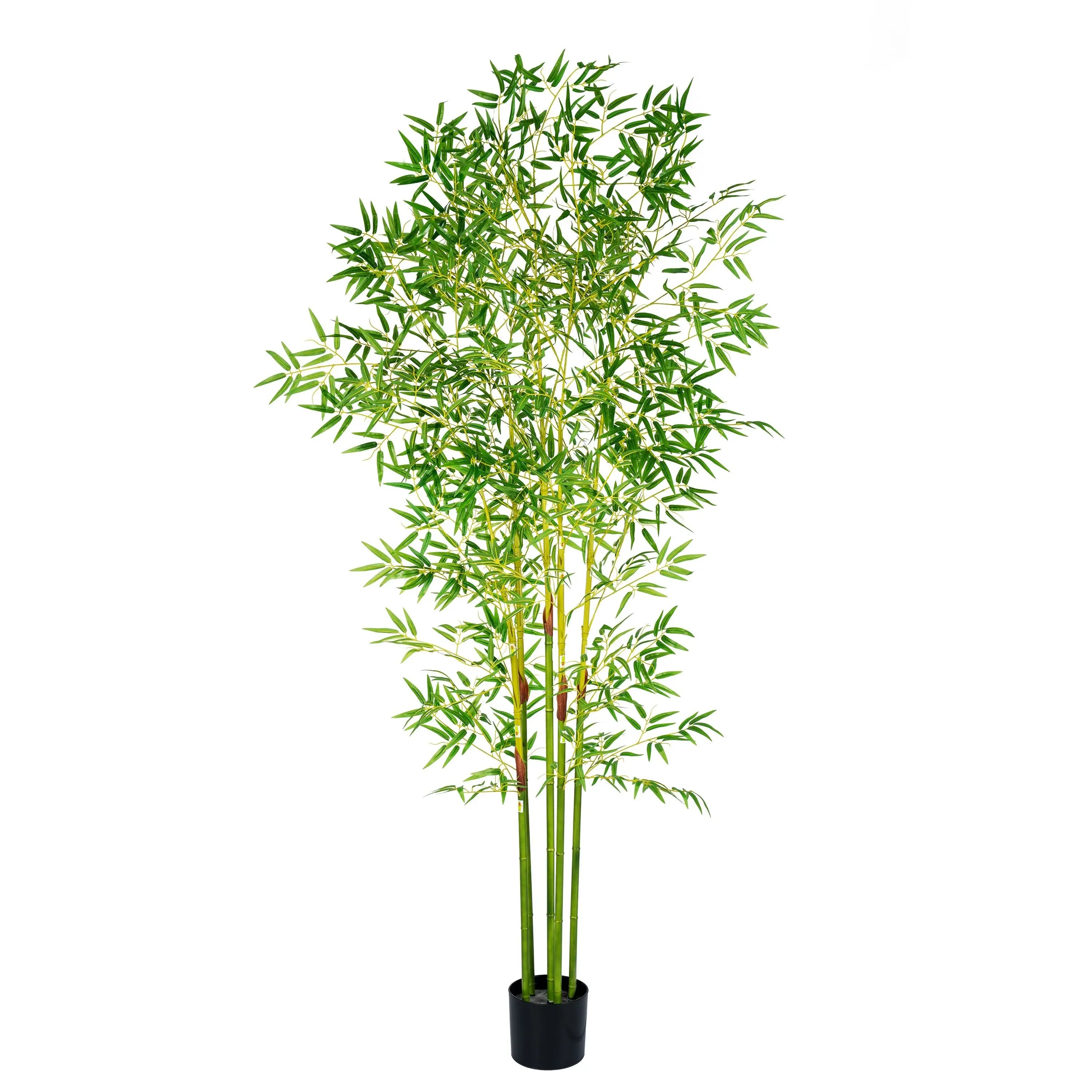 bc350fb0-a0ab-4aa7-94ce-dfd230a316ce.jpg