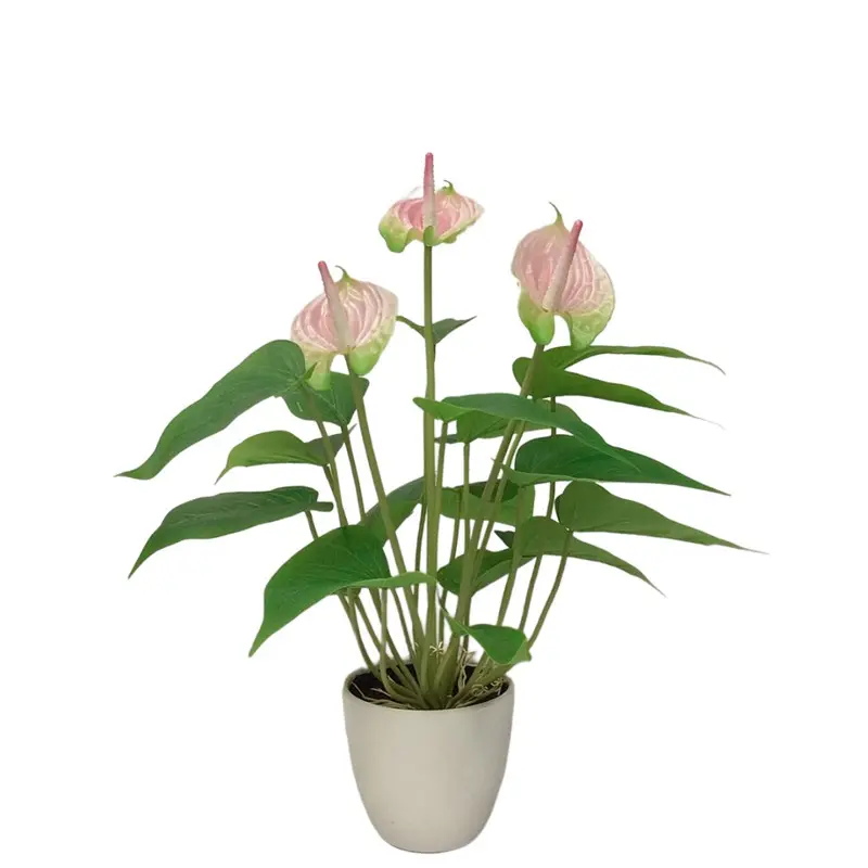 Factory-Made Anthurium Bonsai: High Simulation, Waterproof, ODM Available