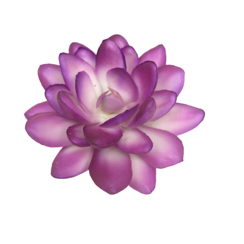 Simulation Snow Lotus（2092） (2)lyw