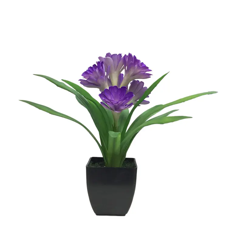 Leading Rubber Tuberose 6279 (6)a7x