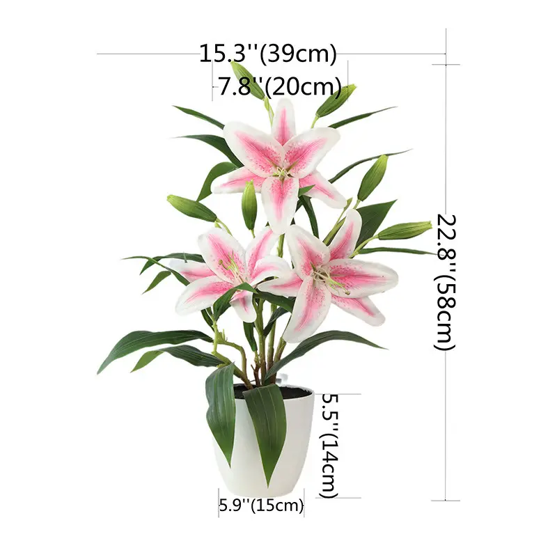 Manufacturer and Supplier of Tiger Orchids