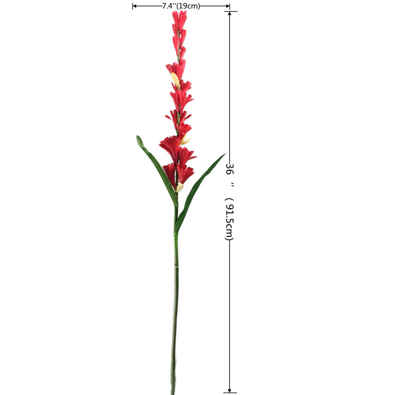 Leading Rubber Tuberose Manufacturer