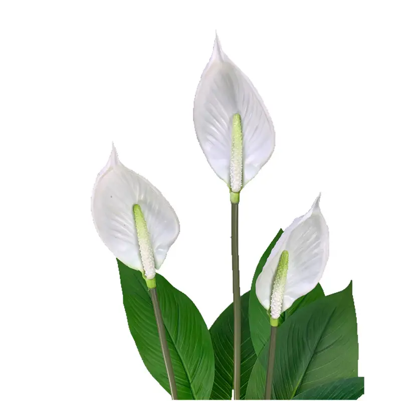 High Quality Simulation Flower Smooth Sailing Factory Supplier5jtr
