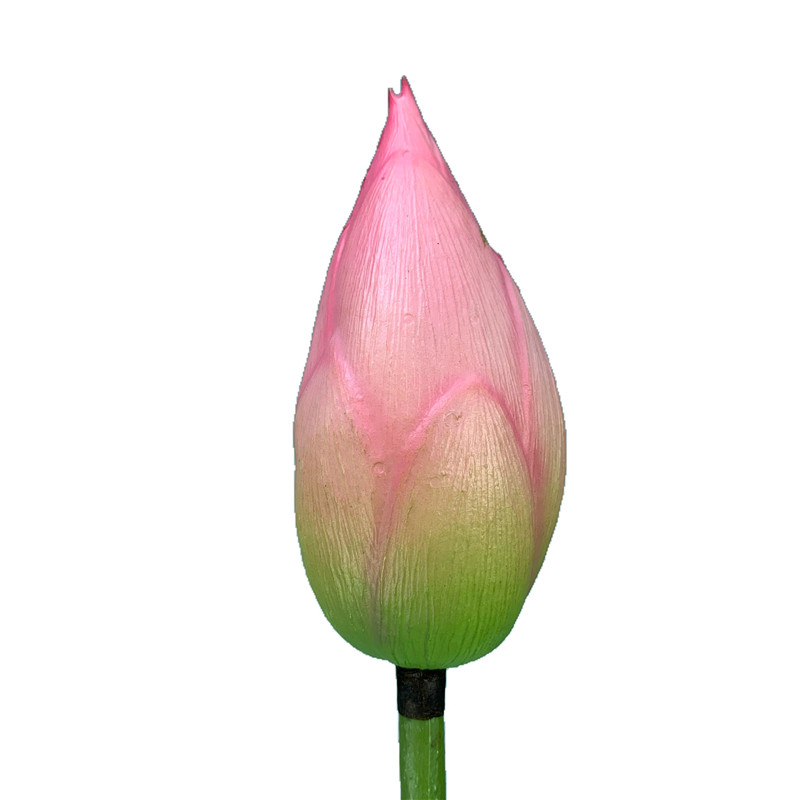 High-touch PVC Lotus Fruit03lb5