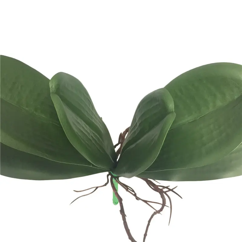 Factory Direct Highly Simulated Butterfly Orchid Leaves02k2b