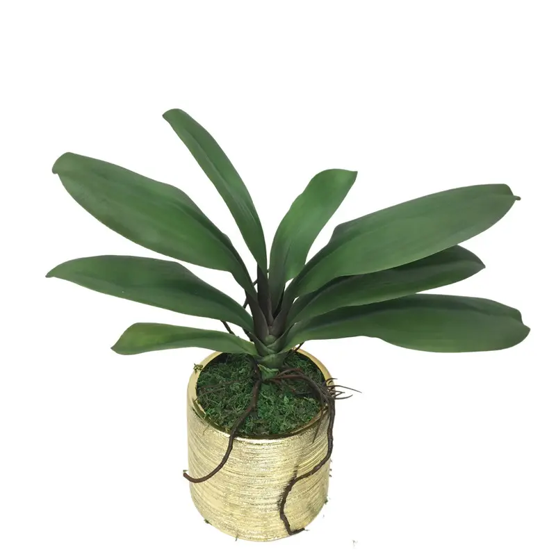 Factory Direct Highly Simulated Butterfly Orchid Leaves