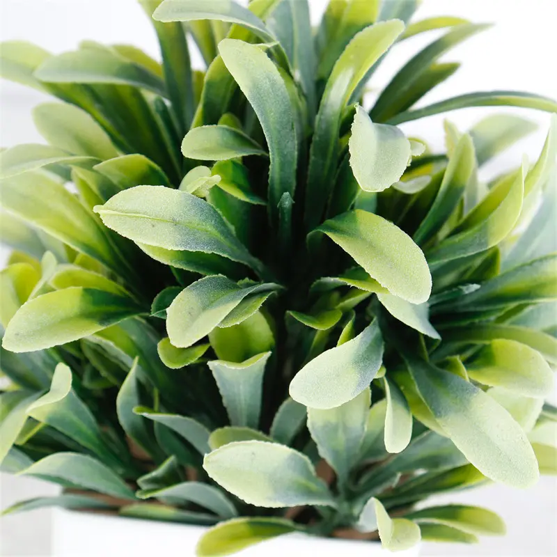 Realistic Green Plant Pots from Trusted Factory Supplier150ul