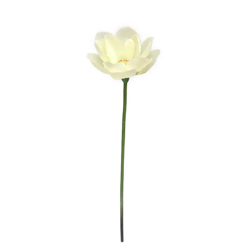 Lotus Flower Supplier for OEM