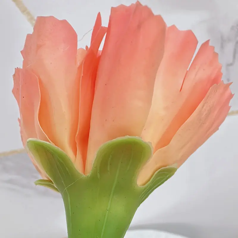 Simulation Carnations(1)i3g