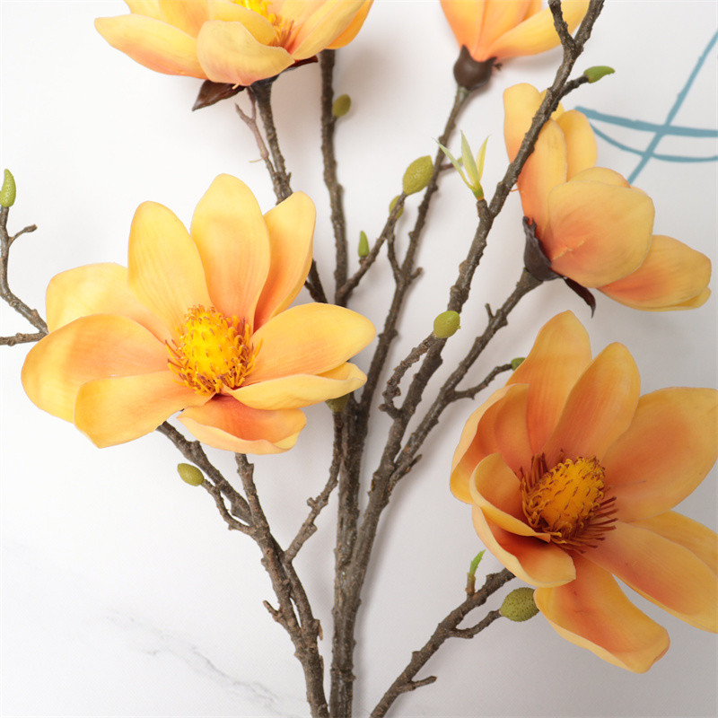 Direct Simulated Magnolia-6077 (7)dt0