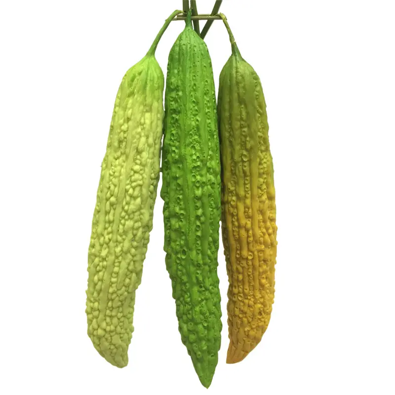 Simulated Bitter Melon: Natural Simulation Pu Manufacturing