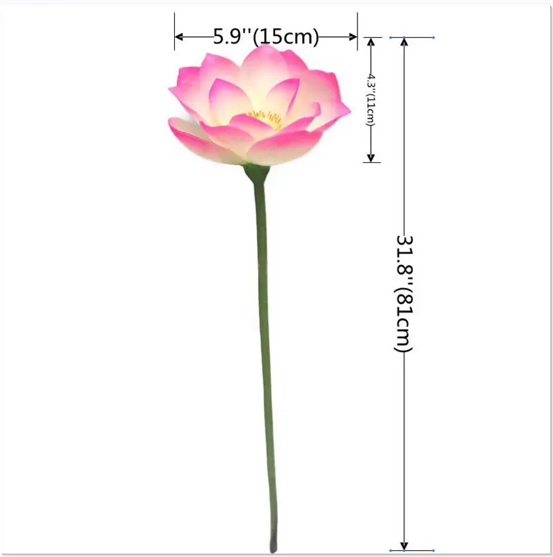 Lotus Flower Supplier for OEM