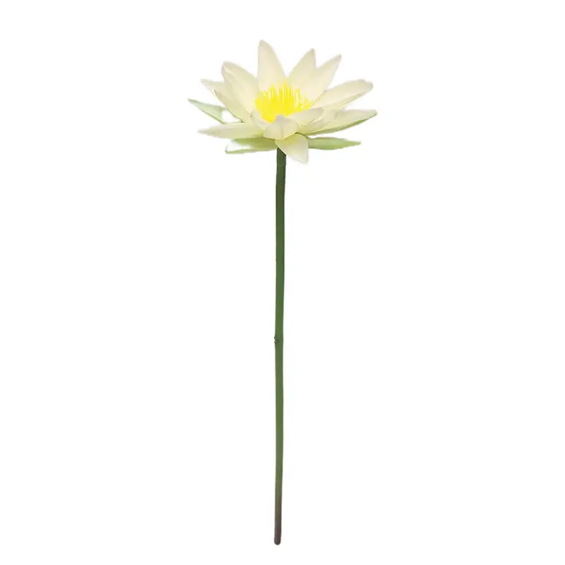 Factory Supplier of Lotus Flower: Waterproof, Environmentally Friendly