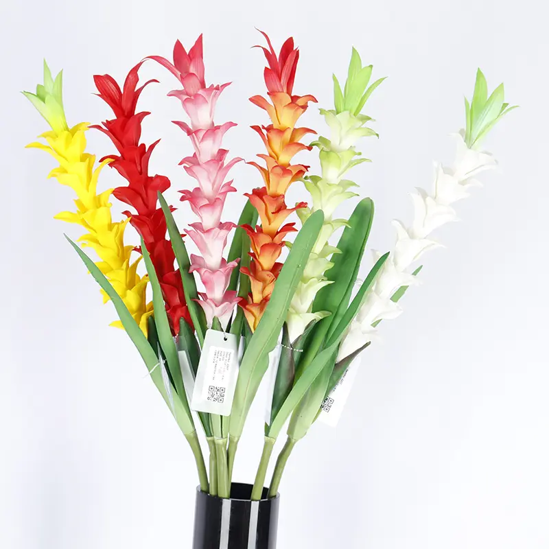 Expert Manufacturers of Natural Simulation Torchflower