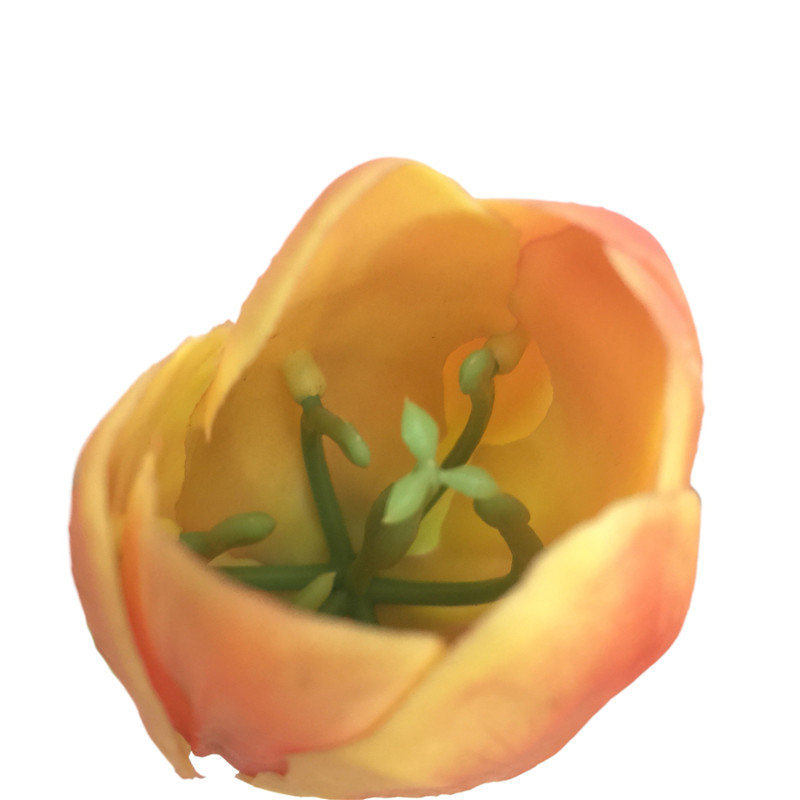 Long-Lasting Faux Tulips56ym