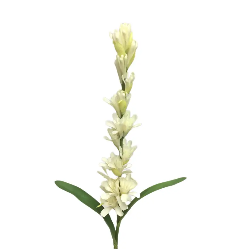Leading Rubber Tuberose 6059-1 (6)ilz