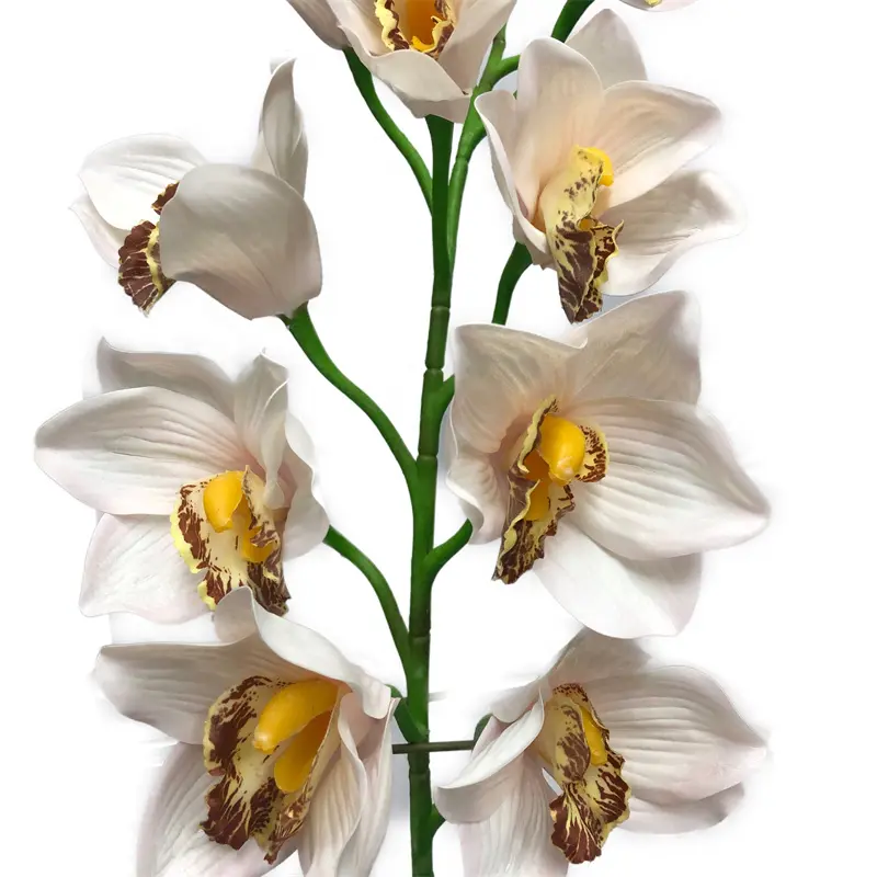 Simulated Cymbidium8198 (5)09r