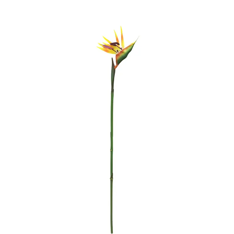Factory Supplier: High Simulation PVC Bird of Paradise Bonsai
