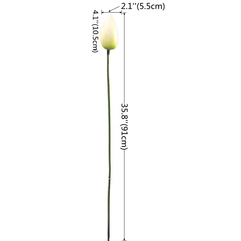 High-touch PVC Lotus Fruit: Factory Direct