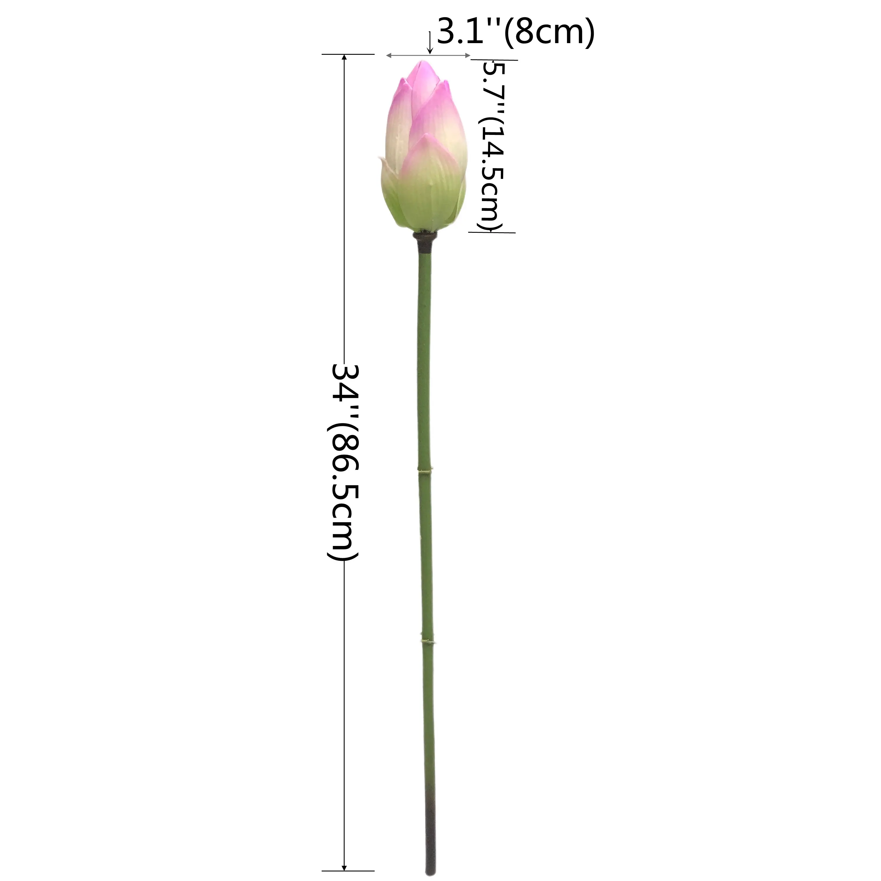 Natural Simulation Lotus Bud Manufacturer