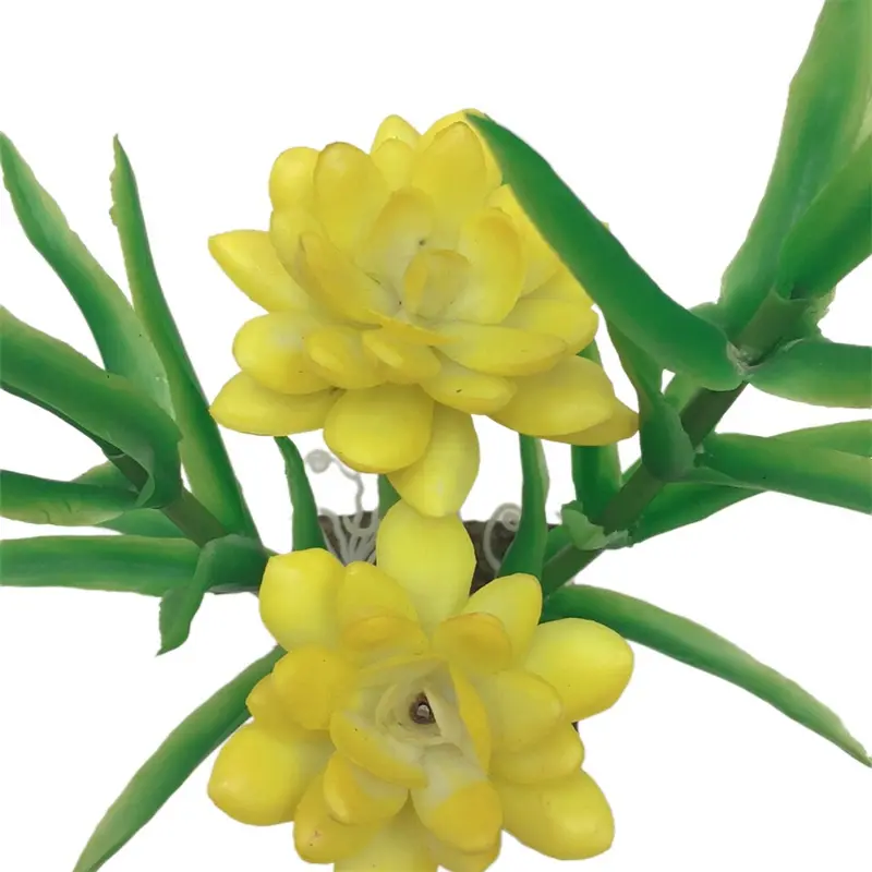 Simulation Snow Lotus 2063 (8)utt