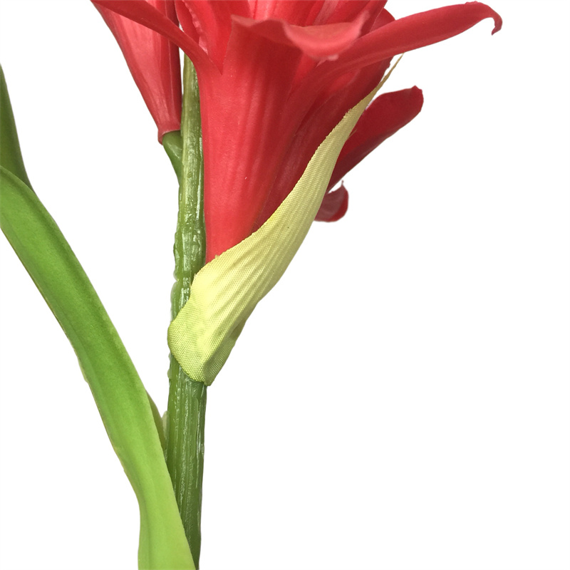 Leading Rubber Tuberose 6059-1 (12)8gh