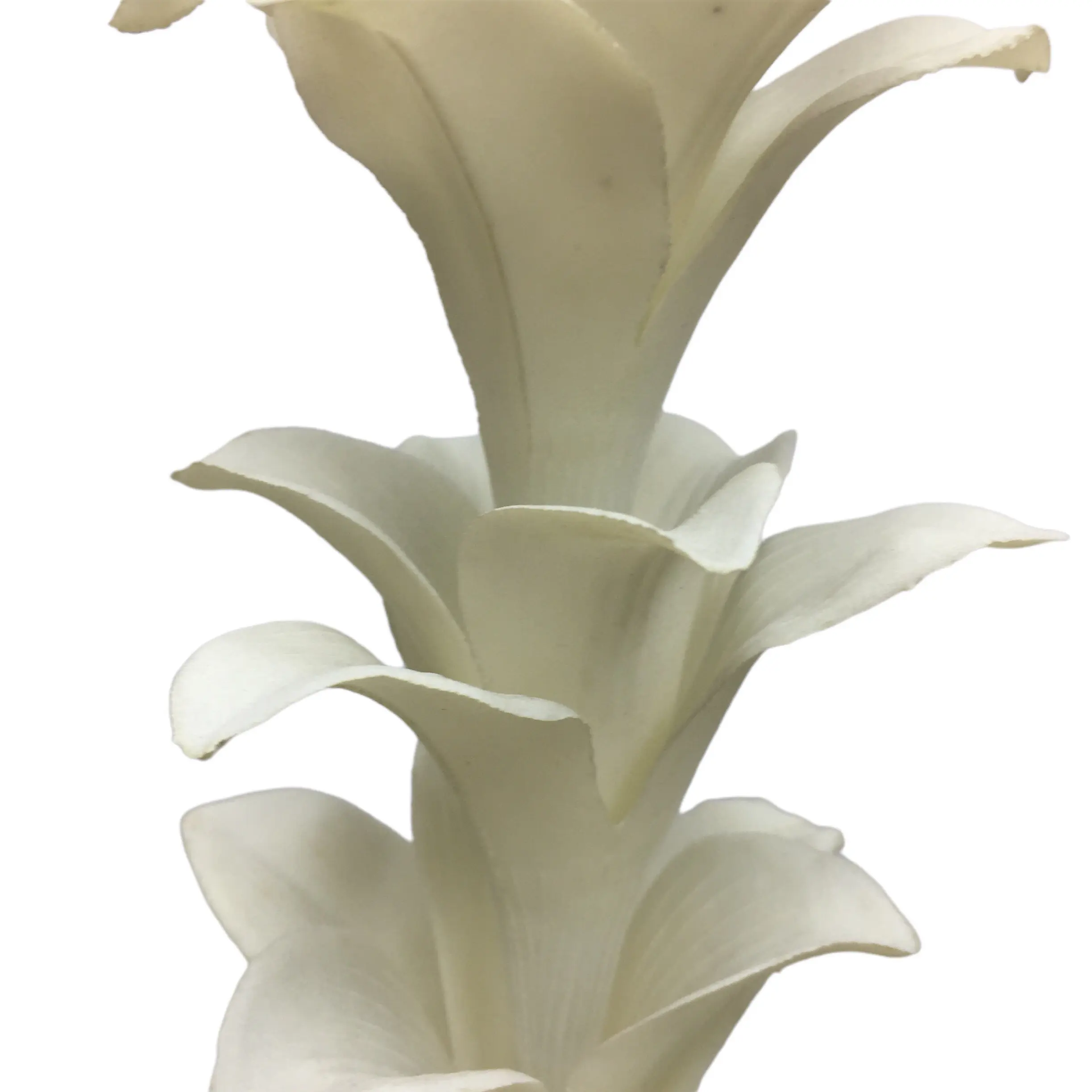 Expert Manufacturers of Natural Simulation Torchflower